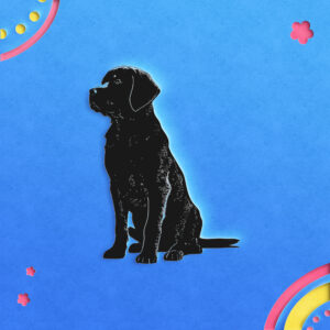 516_Labrador_Retriever_5837-transparent-paper_cut_out_1.jpg
