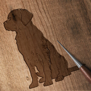 516_Labrador_Retriever_5837-transparent-wood_etching_1.jpg