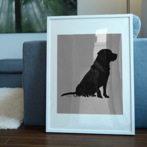 518_Labrador_Retriever_3075-transparent-picture_frame_1.jpg