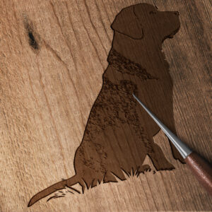 518_Labrador_Retriever_3075-transparent-wood_etching_1.jpg