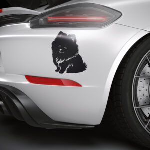 522_Pomeranian_4379-transparent-car_sticker_1.jpg