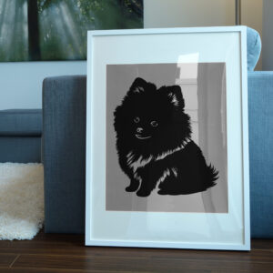 522_Pomeranian_4379-transparent-picture_frame_1.jpg