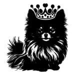 Pomeranian with a Tiara