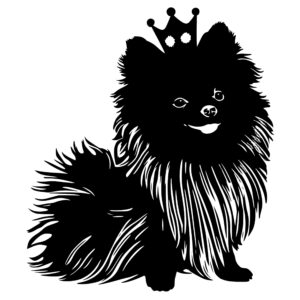 524_Pomeranian_with_a_tiara_4500.jpeg
