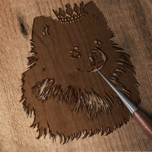 525_Pomeranian_with_a_tiara_2413-transparent-wood_etching_1.jpg