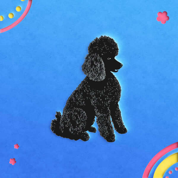 527_Poodle_8170-transparent-paper_cut_out_1.jpg