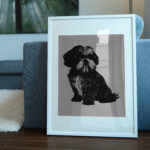 531_Shih_Tzu_7127-transparent-picture_frame_1.jpg