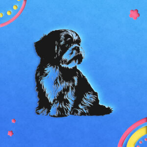 532_Shih_Tzu_1324-transparent-paper_cut_out_1.jpg