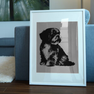 532_Shih_Tzu_1324-transparent-picture_frame_1.jpg