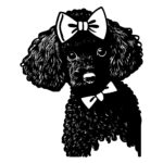 536_Poodle_with_a_bow_5570.jpeg