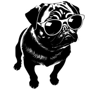 Pug with a Pair of Sunglasses