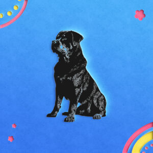 544_Rottweiler_1402-transparent-paper_cut_out_1.jpg