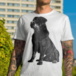 544_Rottweiler_1402-transparent-tshirt_1.jpg