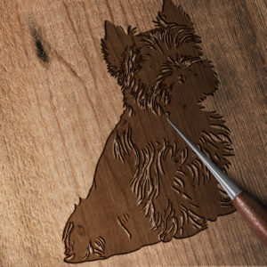 550_Yorkshire_Terrier_4921-transparent-wood_etching_1.jpg