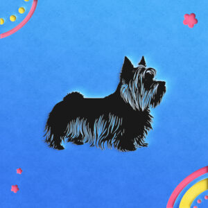 551_Yorkshire_Terrier_8831-transparent-paper_cut_out_1.jpg