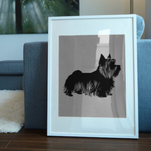 551_Yorkshire_Terrier_8831-transparent-picture_frame_1.jpg