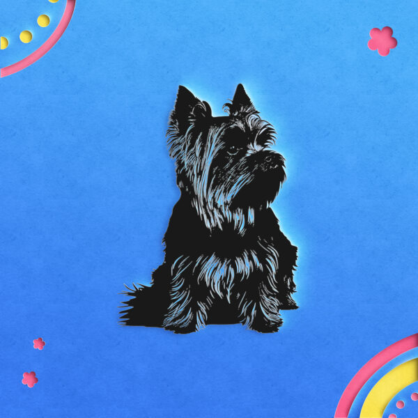 552_Yorkshire_Terrier_7314-transparent-paper_cut_out_1.jpg