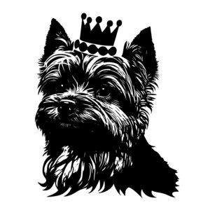 Yorkshire Terrier with a Crown