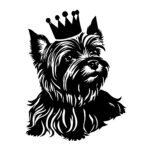 Yorkshire Terrier With A Crown