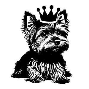 Yorkshire Terrier with a Crown