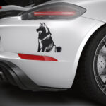 559_Siberian_Husky_9421-transparent-car_sticker_1.jpg