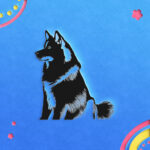 559_Siberian_Husky_9421-transparent-paper_cut_out_1.jpg