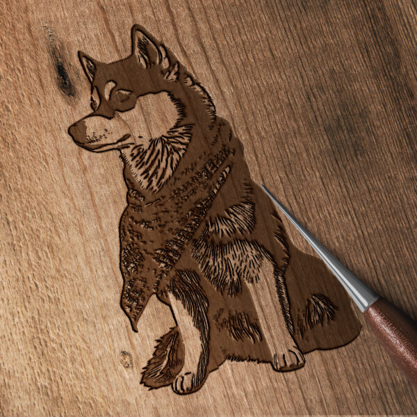 561_Siberian_Husky_with_a_scarf_3190-transparent-wood_etching_1.jpg