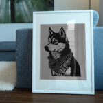 563_Siberian_Husky_with_a_scarf_8907-transparent-picture_frame_1.jpg