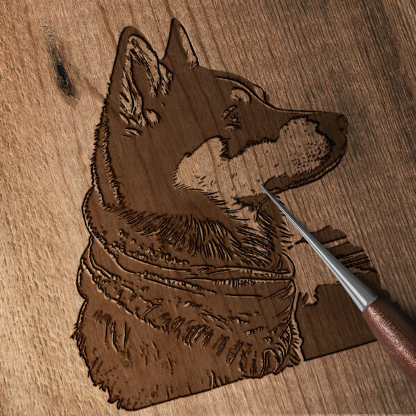 564_Siberian_Husky_with_a_scarf_6047-transparent-wood_etching_1.jpg