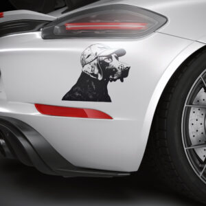 565_Weimaraner_with_a_hunting_cap_3116-transparent-car_sticker_1.jpg