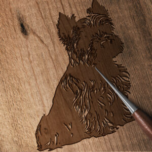 566_Yorkshire_Terrier_7682-transparent-wood_etching_1.jpg