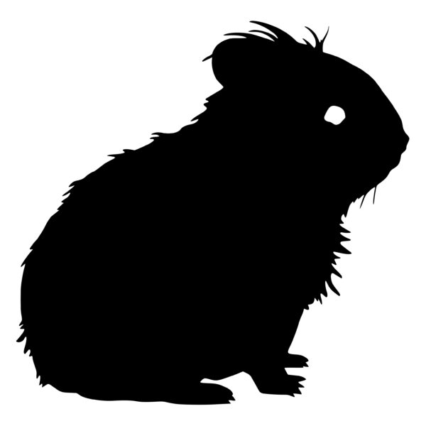 567_Guinea_Pig_1908.jpeg