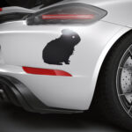 567_Guinea_Pig_1908-transparent-car_sticker_1.jpg