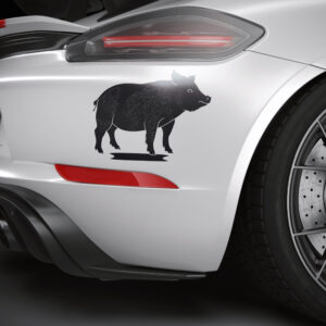 573_Pot-bellied_Pig_8289-transparent-car_sticker_1.jpg