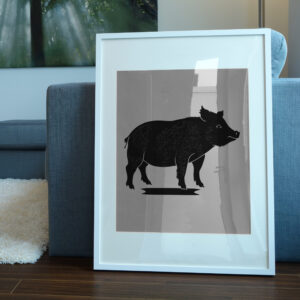 573_Pot-bellied_Pig_8289-transparent-picture_frame_1.jpg