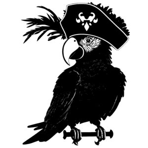 Parrot with a Pirate Hat