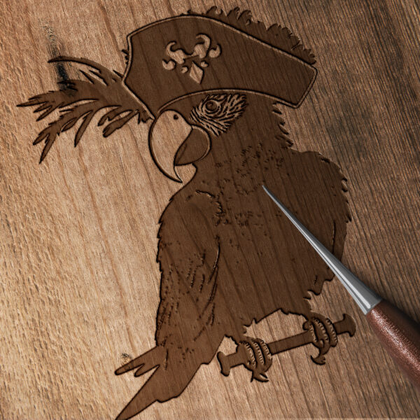 605_Parrot_with_a_pirate_hat_8171-transparent-wood_etching_1.jpg