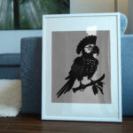 606_Parrot_pirate_6409-transparent-picture_frame_1.jpg