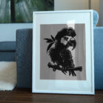 607_Parrot_pirate_3315-transparent-picture_frame_1.jpg