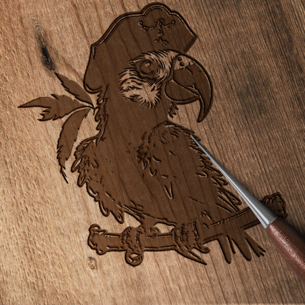 607_Parrot_pirate_3315-transparent-wood_etching_1.jpg