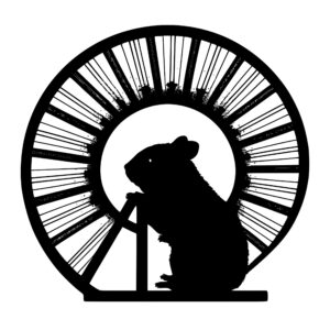 615_Hamster_in_a_wheel_7545.jpeg