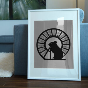 615_Hamster_in_a_wheel_7545-transparent-picture_frame_1.jpg