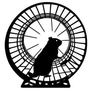 616_Hamster_in_a_wheel_7285.jpeg