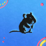 617_Hamster_7099-transparent-paper_cut_out_1.jpg