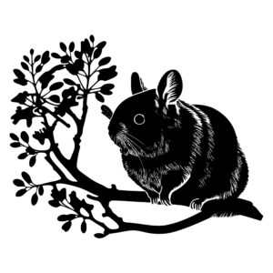 621_chinchilla_in_a_tree_branch_8223.jpeg