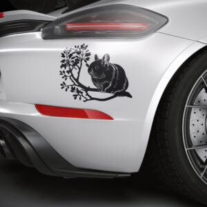 621_chinchilla_in_a_tree_branch_8223-transparent-car_sticker_1.jpg