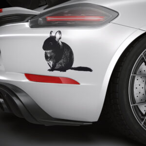 622_Chinchilla_8698-transparent-car_sticker_1.jpg