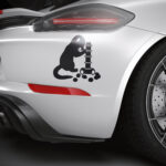623_Ferret_playing_with_a_toy_1580-transparent-car_sticker_1.jpg