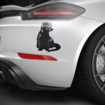 628_Ferret_1240-transparent-car_sticker_1.jpg