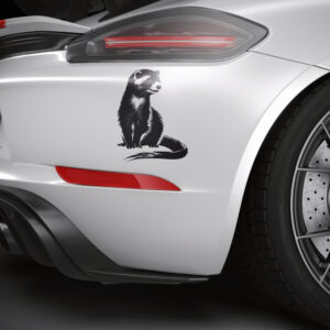 629_Ferret_5548-transparent-car_sticker_1.jpg